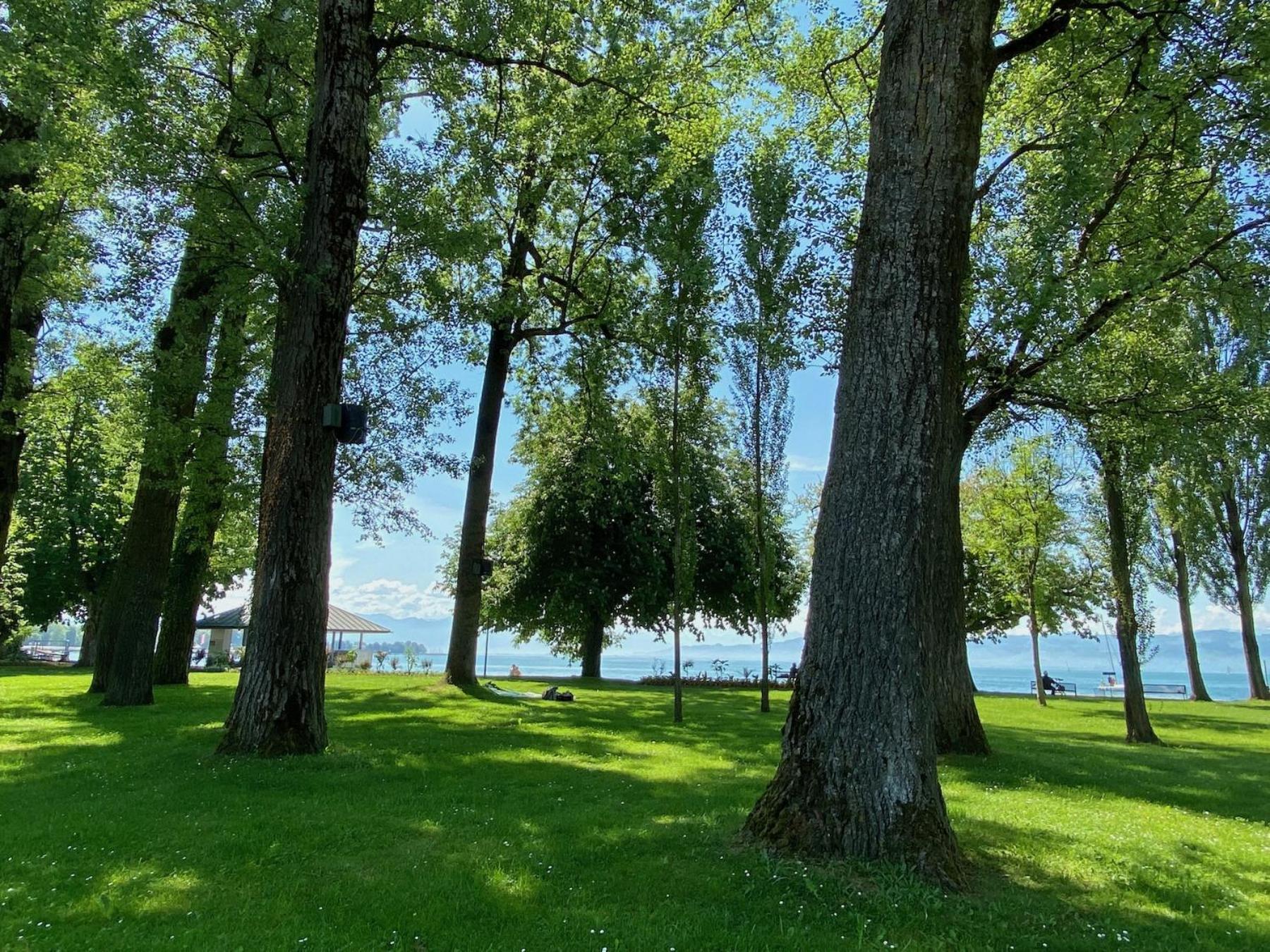 Ferienwohnung Fischerpromenade 博登湖畔克雷斯波洛 外观 照片